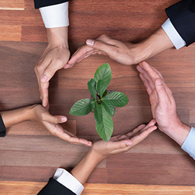 ESG Committee